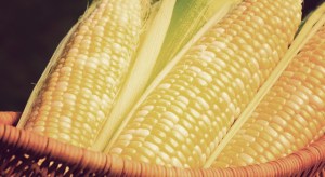 corn_basket